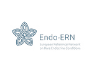 Logo Ern